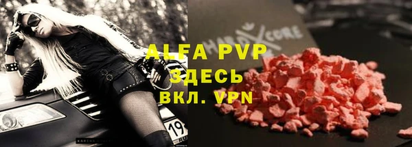 гашик Алексин