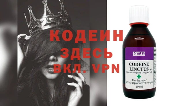 гашик Алексин