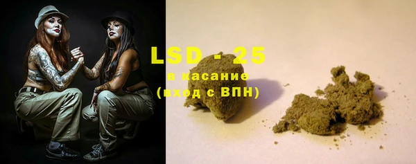 гашик Алексин