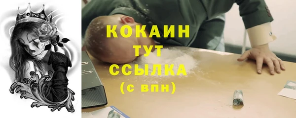 гашик Алексин