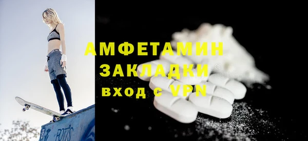 гашик Алексин