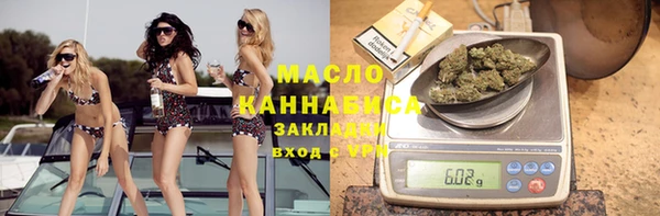 гашик Алексин
