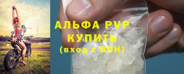 гашик Алексин