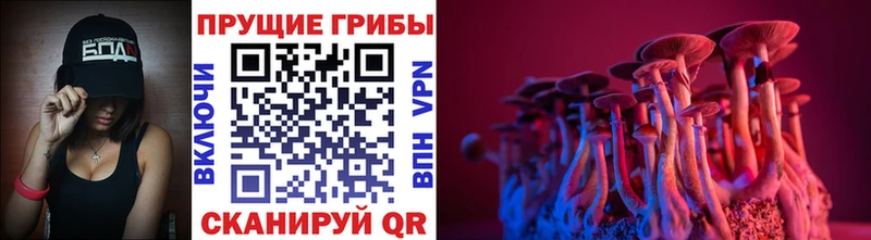 Галлюциногенные грибы мухоморы  купить наркотики сайты  Лесосибирск 