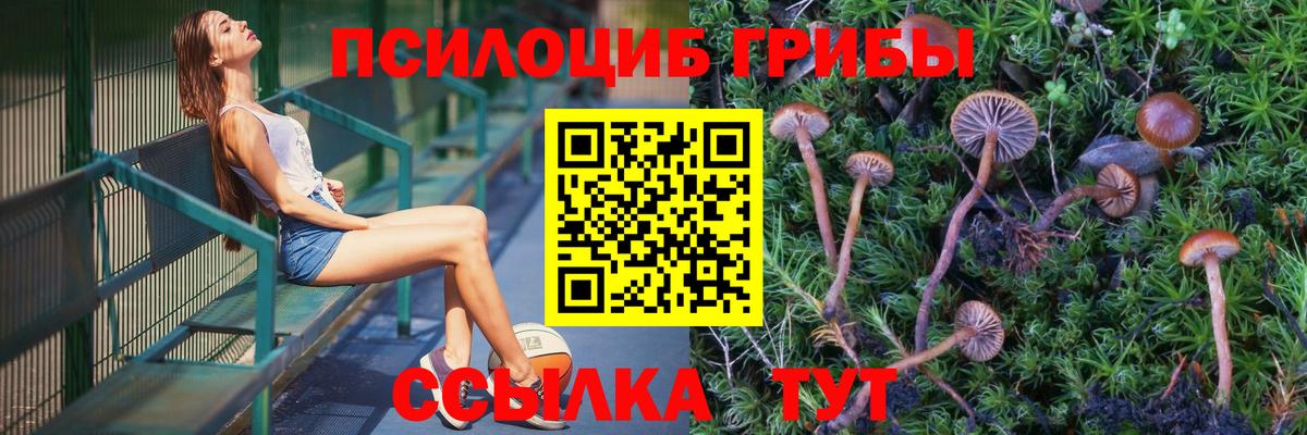 Галлюциногенные грибы Cubensis  Галлюциногенные грибы MAGIC MUSHROOMS  Лесосибирск  Вход с VPN 
